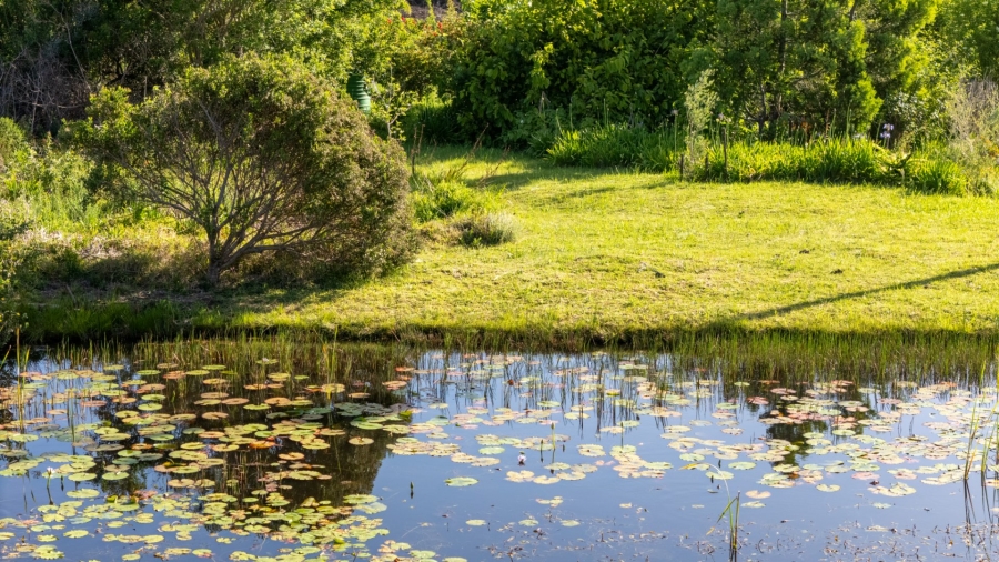  Bedroom Property for Sale in Plettenberg Bay Rural Western Cape